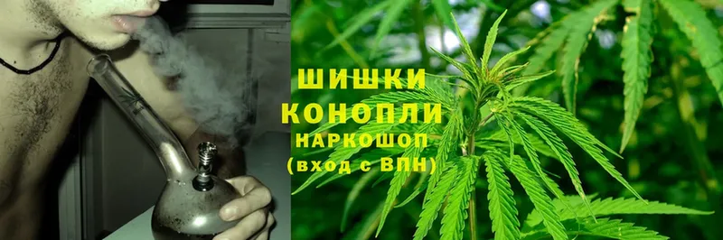 наркошоп  Красавино  Бошки марихуана Bruce Banner 